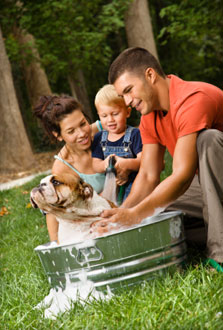 Family bathing dog